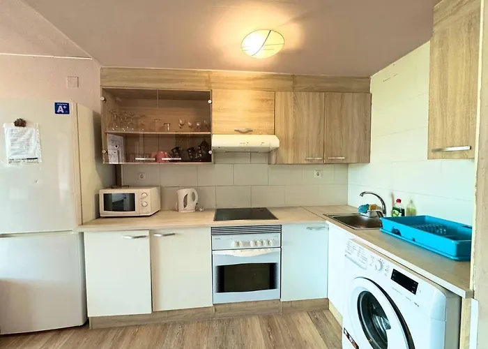 Apartsalou Lea 公寓 萨洛