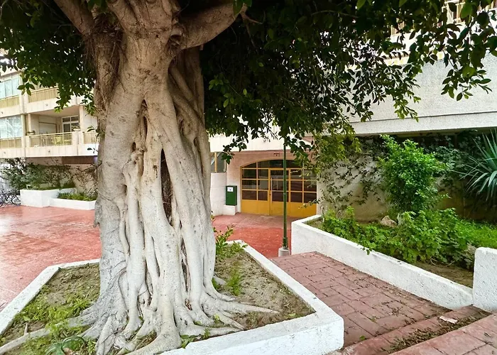 Apartsalou Lea شقة سالو